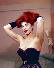 This is an image of Premium Photograph & Poster of Tina Louise 297801