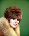 This is an image of Premium Photograph & Poster of Jill St. John 297806