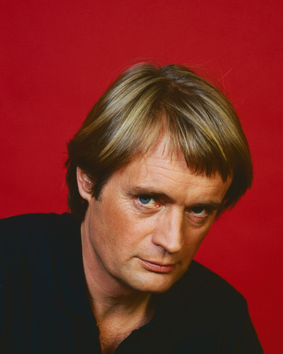 This is an image of Photograph & Poster of David McCallum 297816