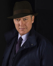 This is an image of Photograph & Poster of James Spader 297915