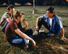This is an image of Photograph & Poster of The Outsiders 297952