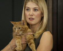 This is an image of Photograph & Poster of Rosamund Pike 297977