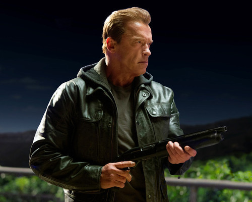 This is an image of Photograph & Poster of Arnold Schwarzenegger 298015
