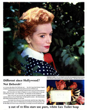 This is an image of Vintage Reproduction of Deborah Kerr 297296