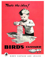 This is an image of Vintage Reproduction of Birds Custard 297329