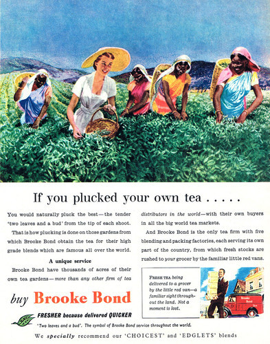This is an image of Vintage Reproduction of Brooke Bond 297337