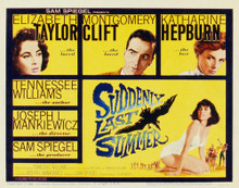 This is an image of Vintage Reproduction of Suddenly Last Summer 297343