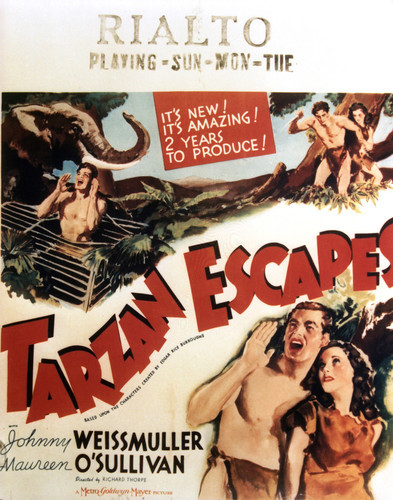 This is an image of Vintage Reproduction of Tarzan Escapes 297009