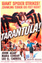 This is an image of Vintage Reproduction of Tarantula 295167