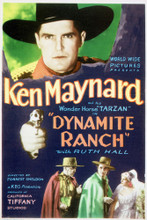This is an image of Vintage Reproduction of Dynamite Ranch 296425