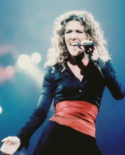 This is an image of Photograph & Poster of Celine Dion 242931