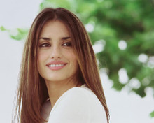 This is an image of Photograph & Poster of Penelope Cruz 243601