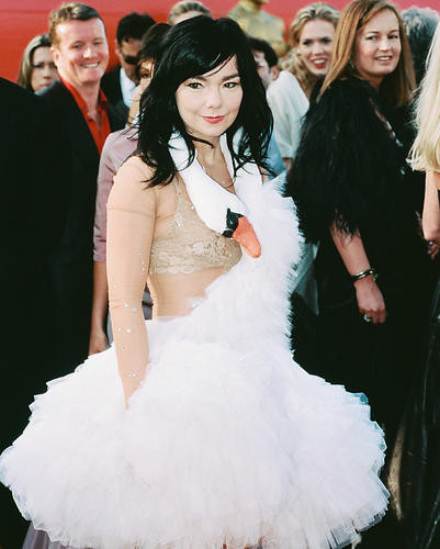 This is an image of Photograph & Poster of Bjork 246366