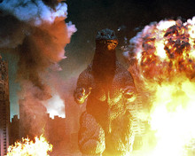 This is an image of Photograph & Poster of Godzilla: Tokyo S.O.S. 290705