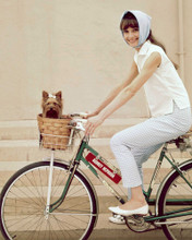 This is an image of Photograph & Poster of Audrey Hepburn 298126