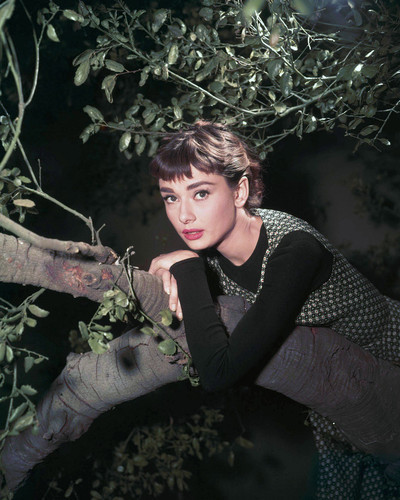 This is an image of Photograph & Poster of Audrey Hepburn 298127