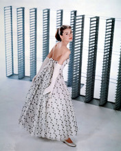 This is an image of Photograph & Poster of Audrey Hepburn 298169