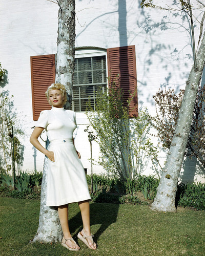 This is an image of Photograph & Poster of Rita Hayworth 298180