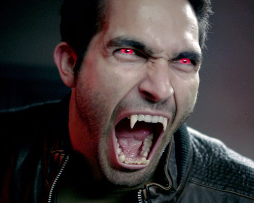 This is an image of Photograph & Poster of Tyler Hoechlin 298233