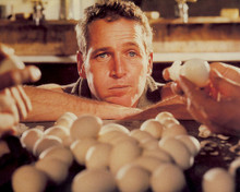 This is an image of Photograph & Poster of Cool Hand Luke 298247