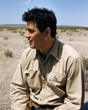 This is an image of Photograph & Poster of Rock Hudson 285594