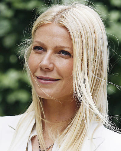 This is an image of Photograph & Poster of Gwyneth Paltrow 286021