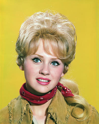 This is an image of Photograph & Poster of Melody Patterson 286081