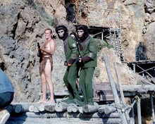 This is an image of Photograph & Poster of Planet of the Apes 286115