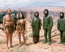 This is an image of Photograph & Poster of Planet of the Apes 286126