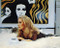 This is an image of Photograph & Poster of Catherine Deneuve 286164