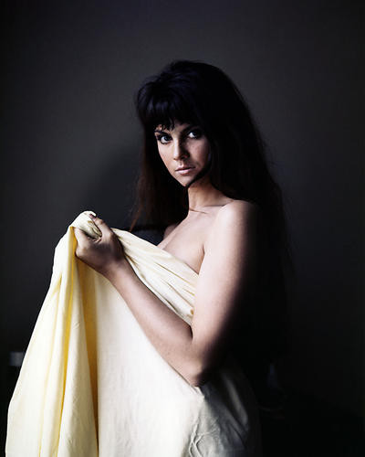 This is an image of Photograph & Poster of Caroline Munro 286168