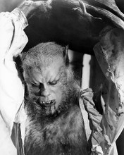 This is an image of Photograph & Poster of Curse of the Werewolf 196476