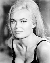 This is an image of Photograph & Poster of Shirley Eaton 195904