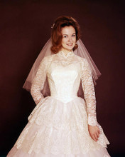 This is an image of Photograph & Poster of Shelley Fabares 286337