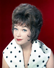 This is an image of Photograph & Poster of Shirley Maclaine 286303