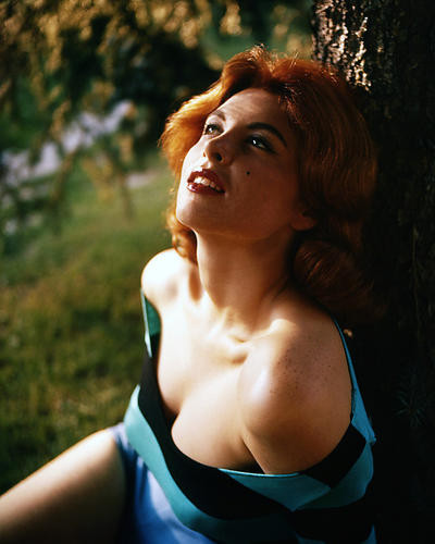 This is an image of Photograph & Poster of Tina Louise 286316