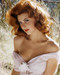 This is an image of Photograph & Poster of Tina Louise 286324