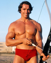 This is an image of Photograph & Poster of Arnold Schwarzenegger 286327