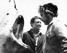 This is an image of Photograph & Poster of Jaws 195917