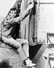 This is an image of Photograph & Poster of David Janssen 195918