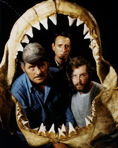 This is an image of Photograph & Poster of Jaws 286298