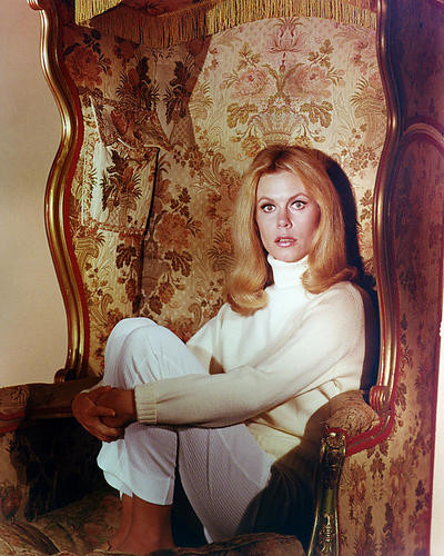 This is an image of Photograph & Poster of Elizabeth Montgomery 286381