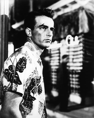 This is an image of Photograph & Poster of Montgomery Clift 195950