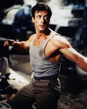 This is an image of Photograph & Poster of Sylvester Stallone 286396