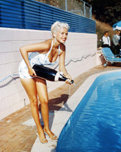 This is an image of Photograph & Poster of Jayne Mansfield 286419