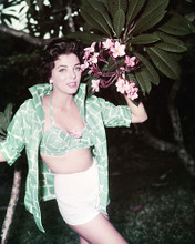 This is an image of Photograph & Poster of Joan Collins 286791
