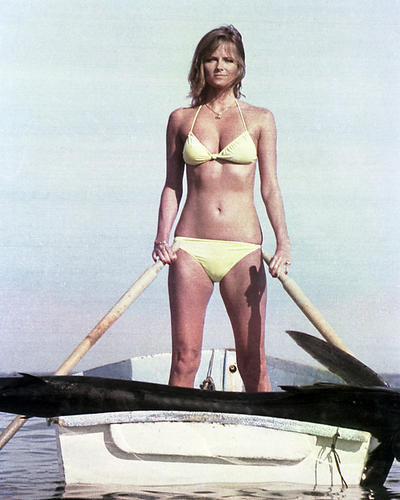Tiegs pictures cheryl '70s bikini