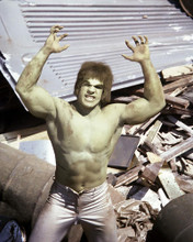 This is an image of Photograph & Poster of The Incredible Hulk 286823