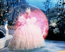 This is an image of Photograph & Poster of The Wizard of Oz 286842