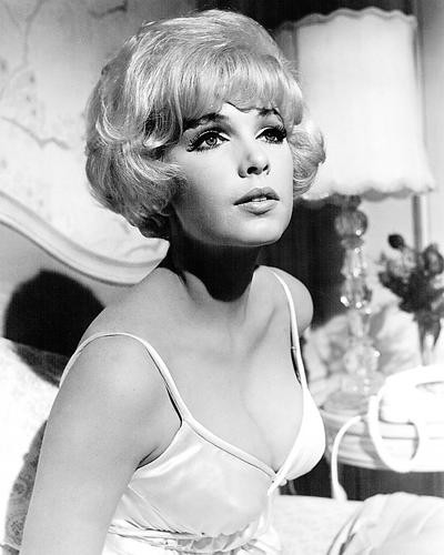 This is an image of Photograph & Poster of Stella Stevens 196153
